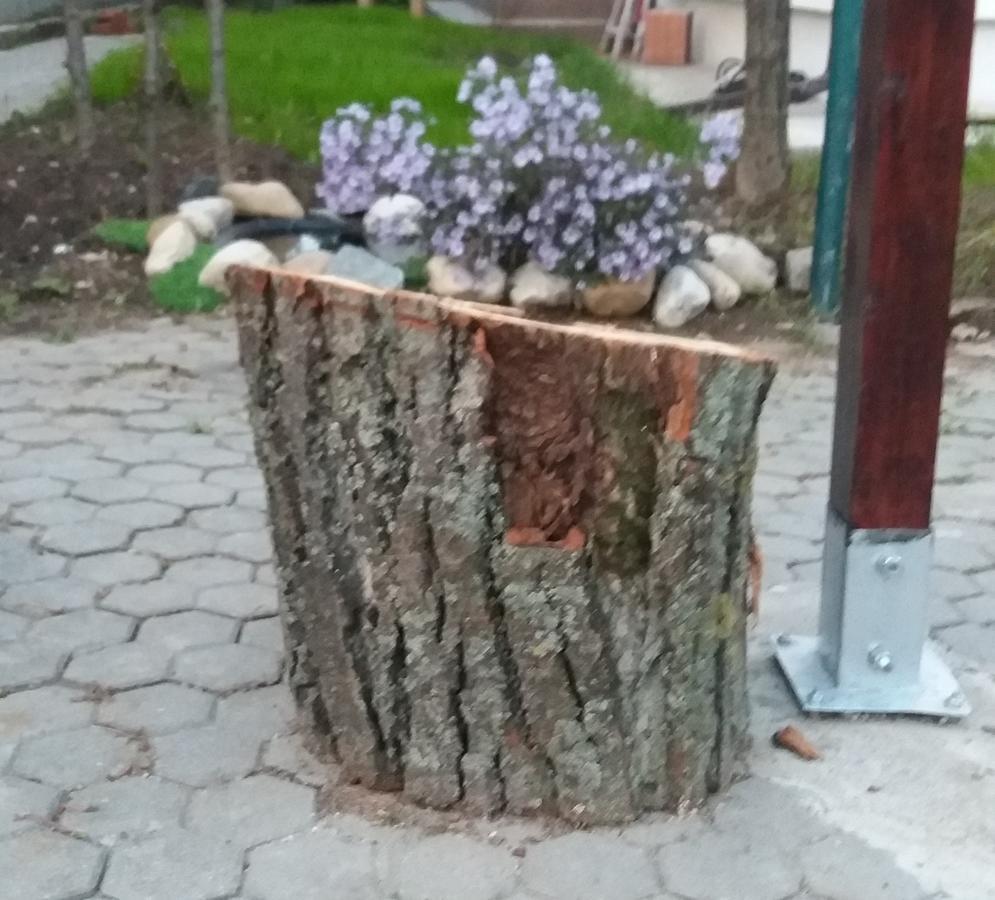 La Livada Bed & Breakfast Otopeni Luaran gambar